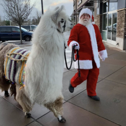 PICTURES WITH SANTA AND CAESAR THE NO DRAMA LLAMA AT AR WORKSHOP HILLSBORO!