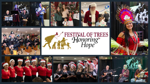 Ann's Place Festival of Trees