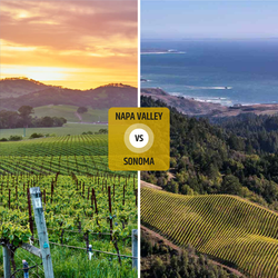 California Showdown: Napa Valley vs Sonoma