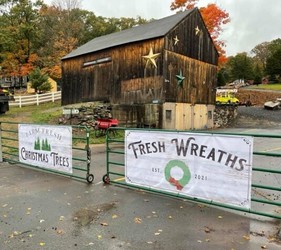 The Family Christmas Experience at Star Hill Family Farm