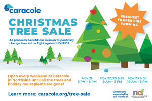 Caracole Christmas Tree Sale 2025
