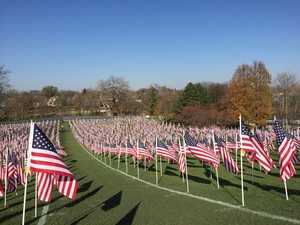 Naperville Healing Field Of Honor