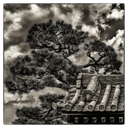 The Ground Glass 50th Anniversary Photography Exhibit Reception