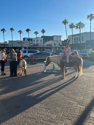 Prancer's Pajama Party