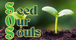 SOS Sustainability Showcase