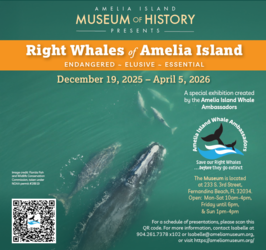 Exhibit: Right Whales of Amelia Island