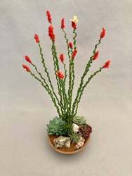 Craft Your Own Mini Ocotillo! – LGBTQIA+ Desert Miniatures Workshop