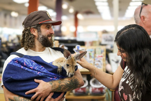 Bring the Outdoors In