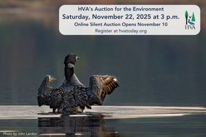 HVA Auction for the Environment