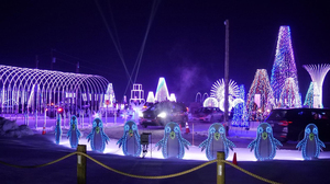 Sever’s Holiday Lights 2025