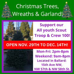 Scout Christmas Tree Lot