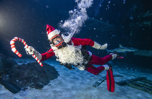Christmas Underwater at Adventure Aquarium