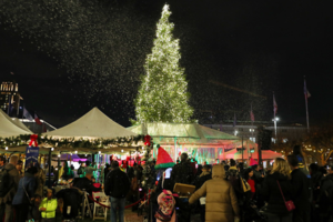 San Francisco Civic Center Plaza Tree Lighting