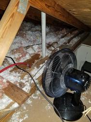 The Mustard Seed GRAND OPENING