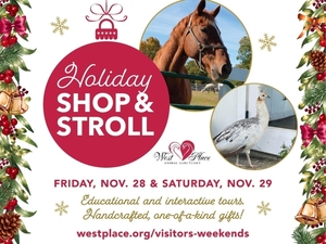 Holiday Shop and Stroll