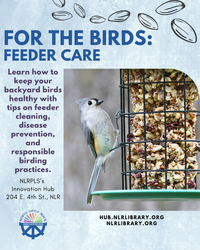 FREE Class: For the Birds - Feeder Care An essential step in your birding journey! North Little Rock