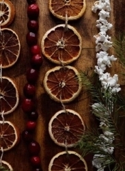 Solstice Garland Making Thursday, 6:00 p.m. December 11th