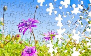 Jigsaw Puzzle Exchange