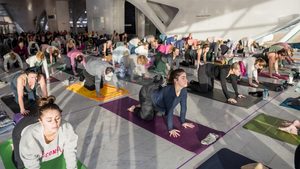 Ballet Floor Barre at MAM