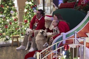 Pet Photos with Santa at FlatIron Crossing