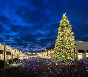 Santa at The Shoppes at Arbor Lakes