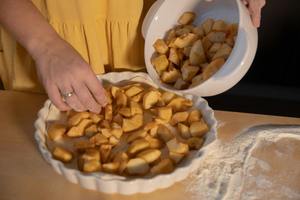 Pie-Perfect Thanksgiving: A+ Apple Pie