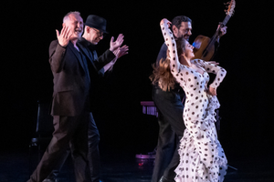 Velada Flamenca 2025 at The Dance Complex