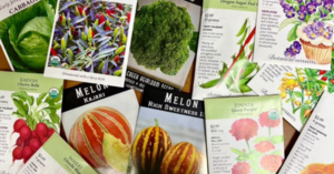 Seed Swap with The Friends of The Oak Park Conservatory