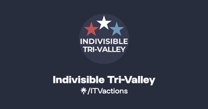 Panel Discussion on Nonprofits in the Tri-Valley – Webinar