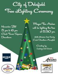 Delafield Tree Lighting