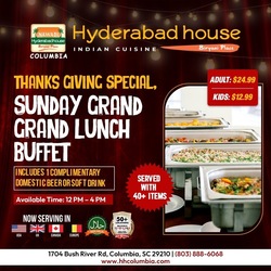 Grand Indian Lunch Buffet