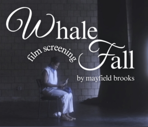 Wall Fall screening and artist talk