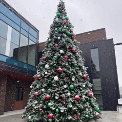 Delhi Towne Square Christmas Tree Lighting