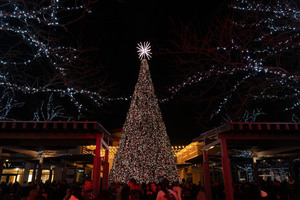 Partridge Creek Tree Lighting Celebration