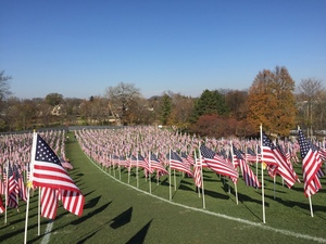 Naperville Healing Field Of Honor