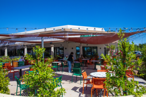 Celebrate Coffee Plantation's Grand Reopening in Scottsdale