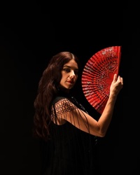 A Flamenco Christmas