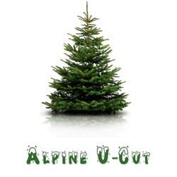 THE MARKETPLACE AT FACTORIA TO OPEN  CHRISTMAS TREE LOT THIS MONTH