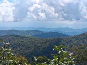 A Hike With a View