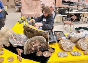 El Paso Mineral & Gem Society Show