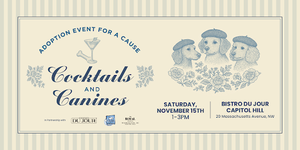 Cocktails & Canines at Royal Sonesta Capitol Hill