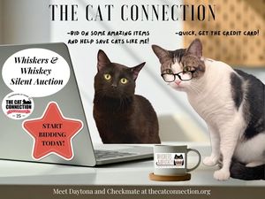 The Cat Connection's Online Auction