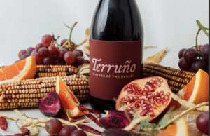 Tohono Chul Presents Terruño: Flavors of the Desert Nov. 16, 2025