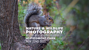 November Nature Photography Meetup