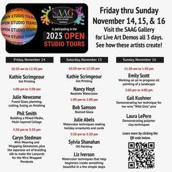 Art Demos at SAAG Gallery this Weekend