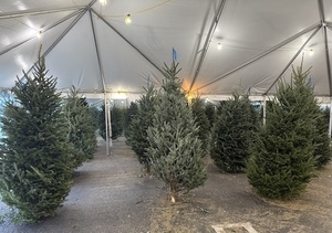 Thoma Bravo Christmas Tree Lot at Boys & Girls Clubs of Miami-Dade