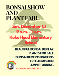 Rainbow Bonsai Club - Bonsai Show and Plant Fair