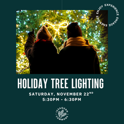 ISSAQUAH COMMONS TO HOST SPECTACULAR TREE LIGHTING EVENT