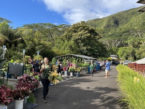 Lyon Arboretum Fall Plant and Craft Sale
