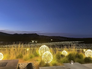 Bright Nights at Cuvaison